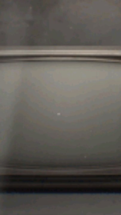 Exclu Dailymotion : Harry Potter en série, tout était prévu !