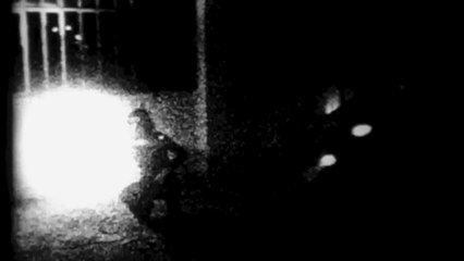 "Incantations" / Olivier Fouchard 2002-2019