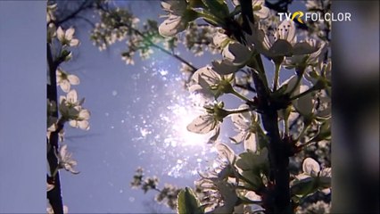 Elena Roizen - Mult ii doru-n lumea mare (Popasuri folclorice - arhiva TVR)