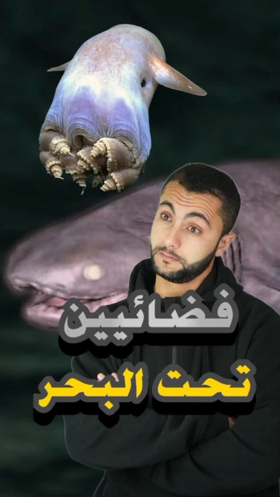 👽 هل فعلاً في مخلوقات فضائية عايشة في أعماق البحر؟ 🌊😱https://psce.pw/7ppwgf#النواة #مخلوق_فضائي #القرش_الكوشري #الأخطبوط_دامبو#Alnawa #dubai🇦🇪 #dubailife #alien #Frilled_Shark #Grimpoteuthis #trending #travel #nature #wildlife