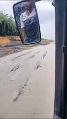 Slippery & Wet! Unexpected Moments Caught on Camera