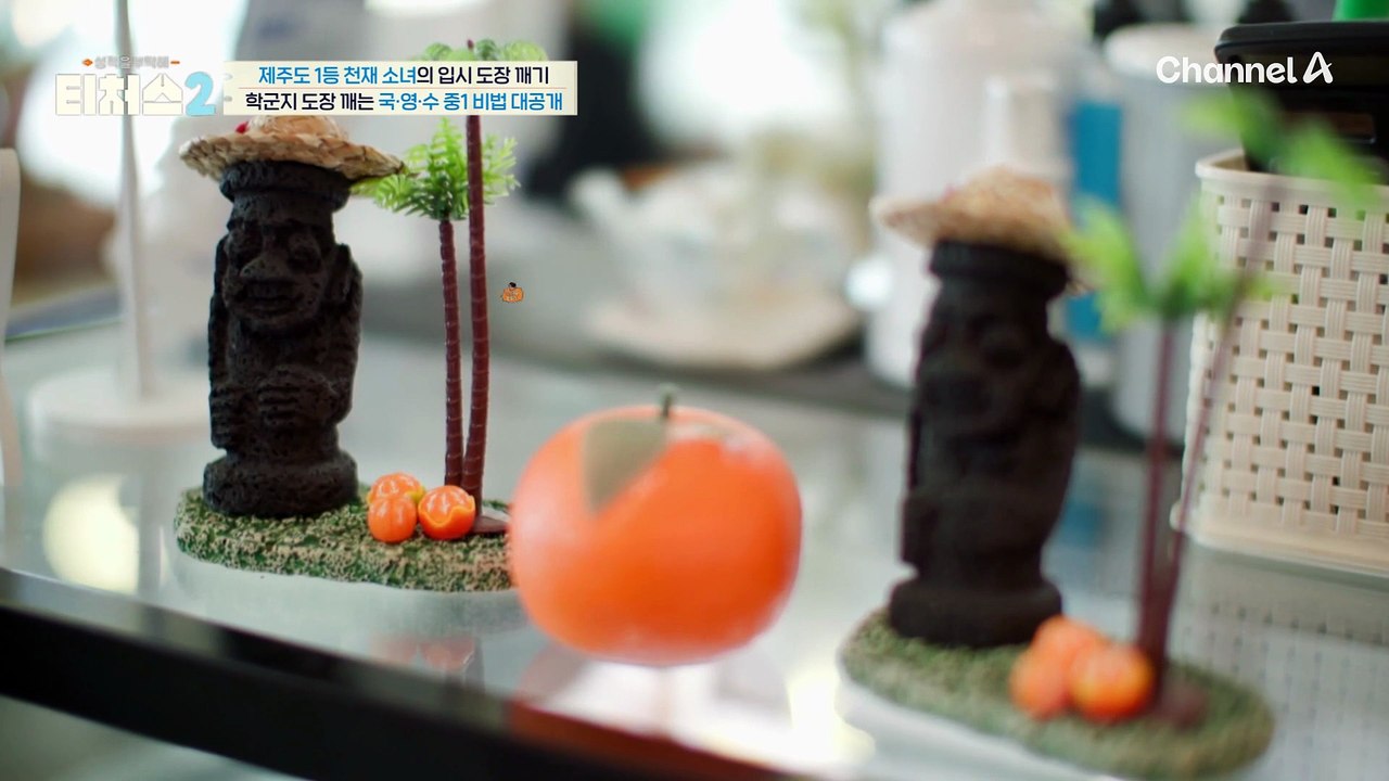 천재 소녀를 위해 정식T가 제주도에 떴다♨ 학군지 중1 솔루션, 라이팅으로 국어 영어 잡기!
