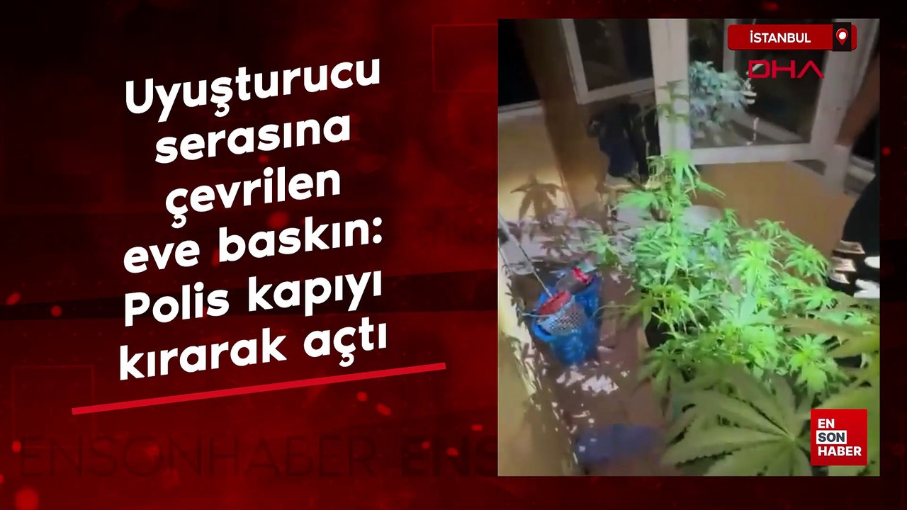İstanbul'da uyuşturucu serasına çevrilen eve baskın: Polis kapıyı kırarak açtı