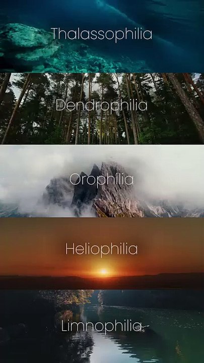 Discover Your Nature Love: Thalassophilia, Dendrophilia, Orophilia & Heliophilia