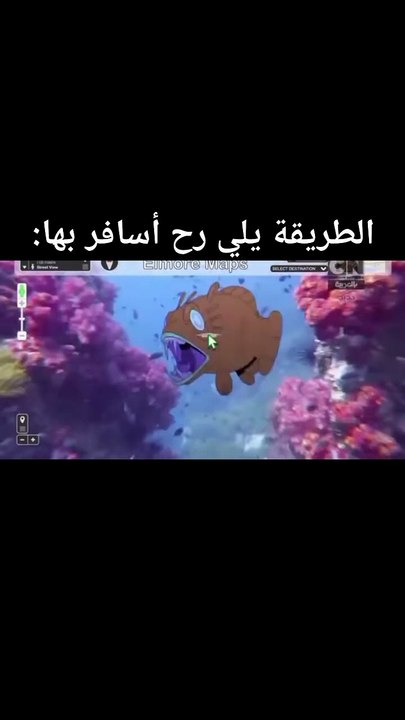 عالم غامبول