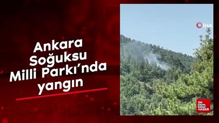 Ankara Soğuksu Milli Parkı’nda yangın