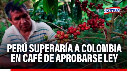 Perú superaría a Colombia y Arabia Saudita en producción de café y cacao de aprobarse nueva Ley Agraria
