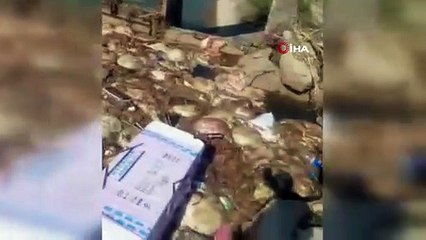 CHP’li belediye uyudu, sulama kanalı işkembe doldu!