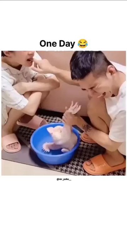 funny 🤣😂😂😂😂😂😂 9999