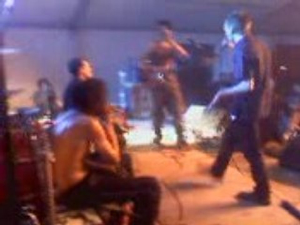 Boeuf bazarsonik mon coté punk zikenstock