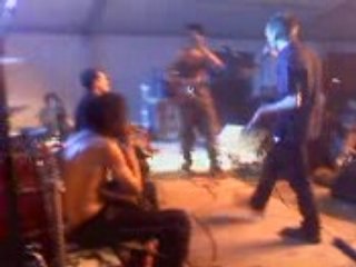 Boeuf bazarsonik mon coté punk zikenstock