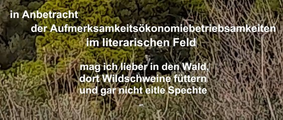 die Silben wiegen nicht viel, wenn die Sätze dienstfertig laufen