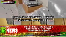NDLEA Intercepts Cannabis Concealed As Tea From Thailand Into Nigeria