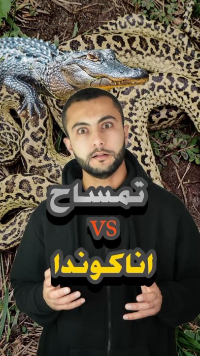 تمساح ضد أفعى أناكوندا... من يفوز؟ 🐊💥🐍https://psce.pw/7pqmns#النواة #تمساح #أفعي_أناكوندا#Alnawa #dubai🇦🇪 #Crocodylidae #Eunectes #dubailife #trending #travel #nature #wildlife