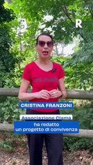 "Punta Marina: Un Progetto di Convivenza tra Pavoni, Residenti e Turisti"