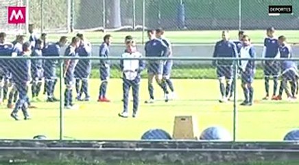 Los otros animales de la Liga MX