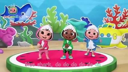 Baby Shark Learns Colors _ CoComelon Nursery Rhymes _ Kids Songs(480P)