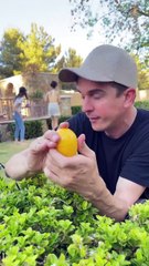 Proposal went very wrong.hd