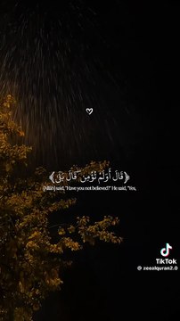 Soothing Quran Recitation #quranrecitation