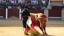 RESUMEN  _ Corrida de toros 8 junio, Beneficencia