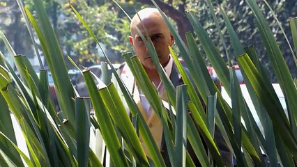 105. Por Siempre Mi Amor