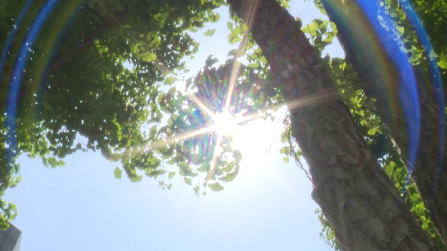 [출근길 YTN 날씨 6/9] 출근길 서해안 짙은 안개...낮엔 30℃ 안팎 한여름 더위 / YTN