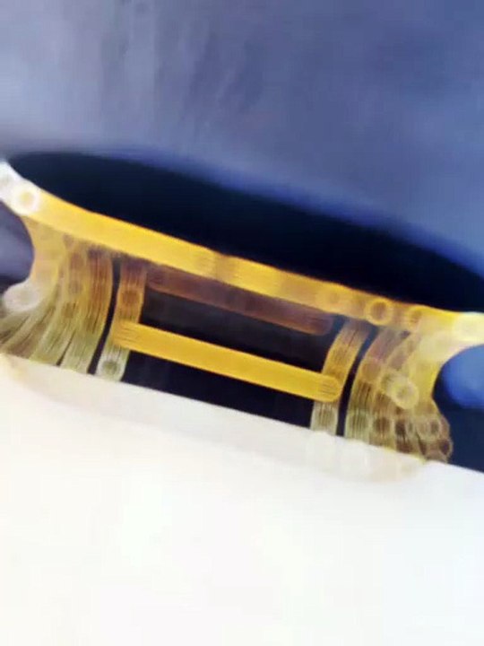 #SajawatVibes #StyledBySajawat #EleganceInEveryPiece   #LuxuryUnboxed #DecorThatDefinesYou #FurnitureTrend   #HomeStyle2025 #ModernLiving #InteriorInspo #FYP #ForYou