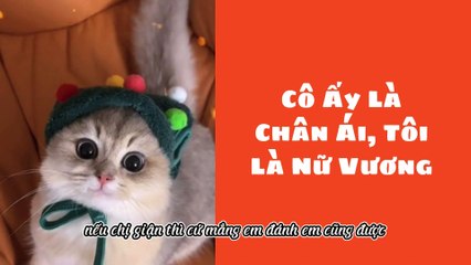 Truyện Audio Hay || Cô Ấy Là Chân Ái, Tôi Là Nữ Vương || Thiên Thần Dắt Truyện