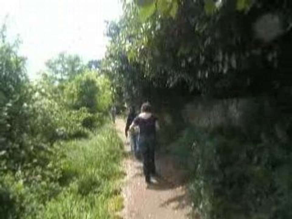 DSCF3658