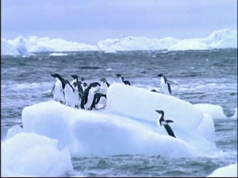 Disney Little Einsteins - Mission Celebration DVD Promo (2006) (HD DVD Rip)