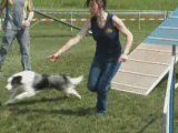 Concours d'agility St-Légier 2008 - Apache