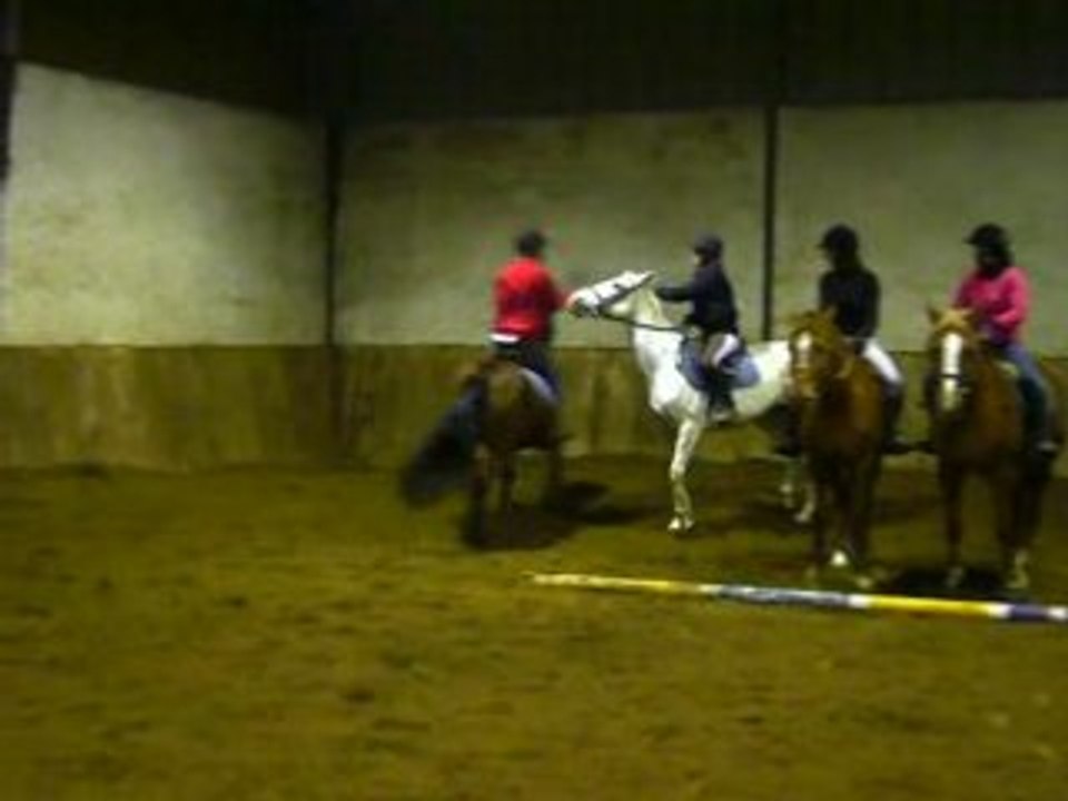 coyote en so avec loune