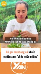 Cô gái mukbang cỏ khiến người xem chảy nước miếng