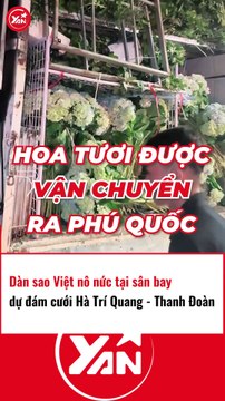 Dàn sao Việt nô nức tại sân bay để tham dự đám cưới Hà quang Trí và Thanh Đoàn