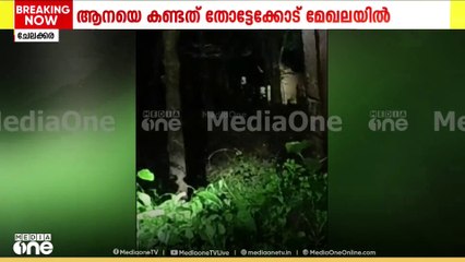ഇടയ്ക്കിടെ കാടിറങ്ങി കാട്ടാന; ഭീതിയിൽ ചേലക്കര തോട്ടേക്കോട് പ്രദേശവാസികൾ
