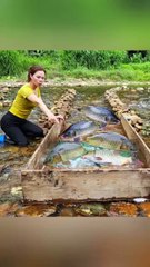 She Built Her Own Fish Pond 🐟 | Inspirational Woman Story | My Mood TV #mymoodtv