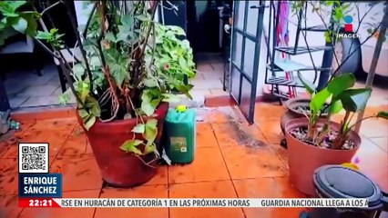 ¿Un coche inundado se puede reparar? Una experta lo explica