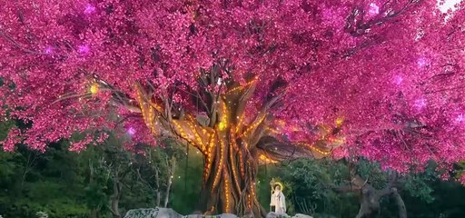 Nghịch Thiên Thành Tiên Tập 5 Thuyết minh