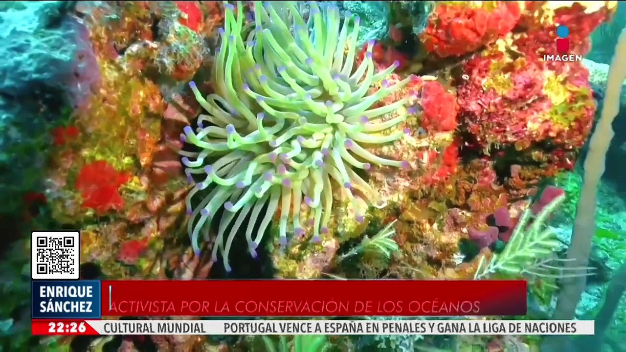 La vida no podría existir sin los océanos, el ecosistema más grande del planeta