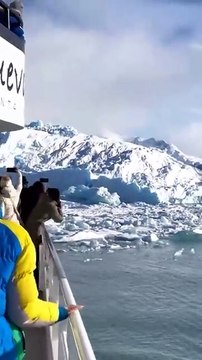 На видео попал огромный переворачивающийся айсберг