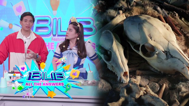 iBilib: Digging up clues from the past!