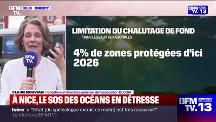 Sommet sur les océans: "Il n'y a aucune nouveauté" au sujet du chalutage de fond, assure la fondatrice de l'association Bloom