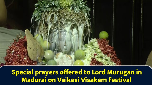 Special prayers offered to Lord Murugan in Madurai on Vaikasi Visakam festival