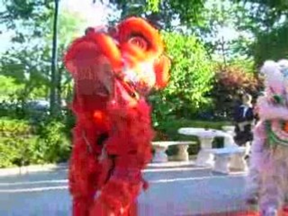 DANSE DU LION RCFA 4