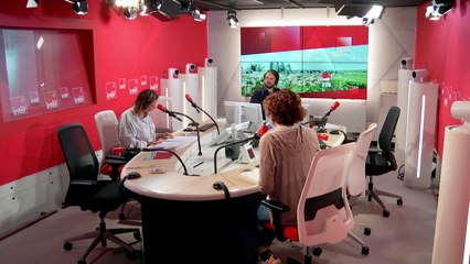 Philippa Motte : "J'avais à cœur d'emmener le lecteur dans l'expérience de la folie"