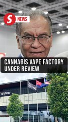 Cabinet to decide on cannabis vape factory issue, says Health Minister