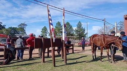 Marcación de la 44° edición del Raid "Natalicio de Artigas" - Villa Isidoro Noblía 07/06/2025
