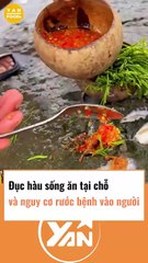 Đục hàu sống ăn tại chỗ và nguy cơ mang bệnh vào người