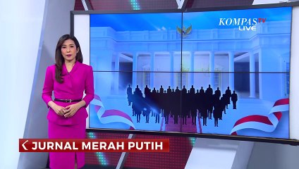 Pemprov Jakarta Berencana Pasang Microchip untuk Hewan Peliharaan