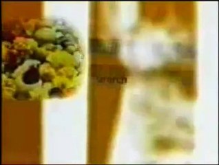 cocteau twins - Rilkean Heart